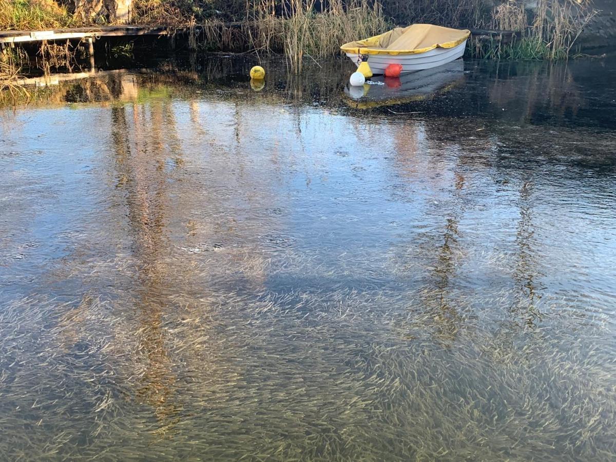 Topart Apartman I Balatonfenyves Εξωτερικό φωτογραφία