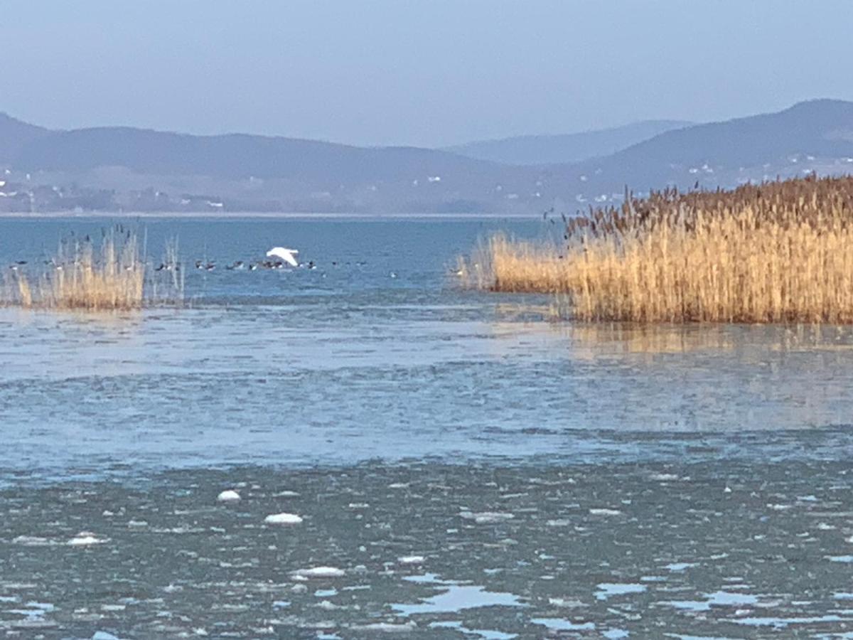 Topart Apartman I Balatonfenyves Εξωτερικό φωτογραφία