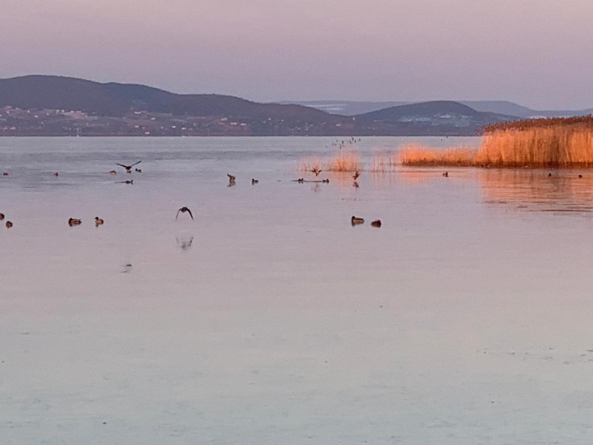 Topart Apartman I Balatonfenyves Εξωτερικό φωτογραφία